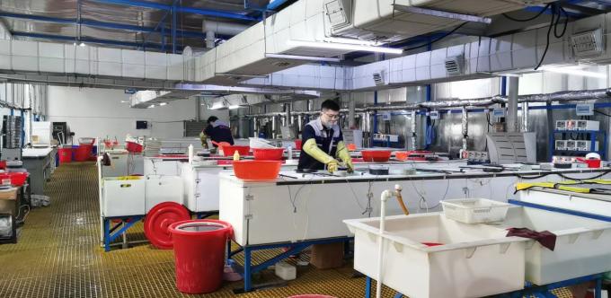 ZHENGZHOU JINCHUAN ABRASIVES CO., LTD. কারখানা ভ্রমণ